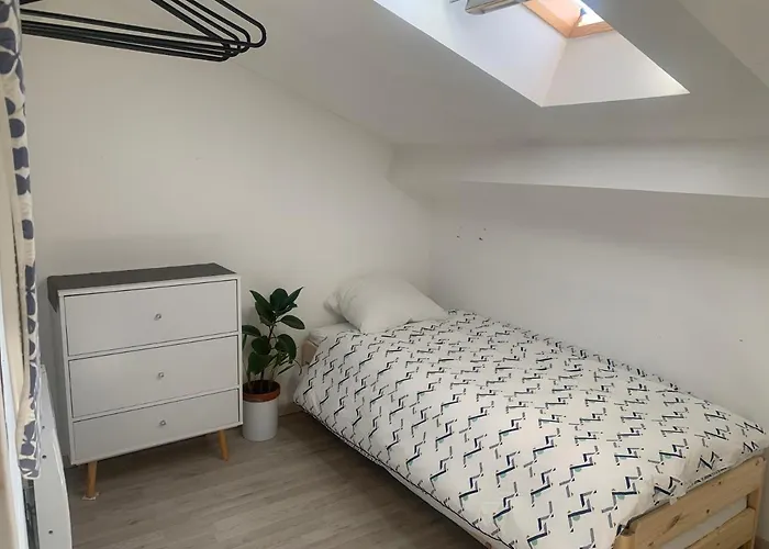 Joli Duplex 65M Chu Bordeaux Parking Prive