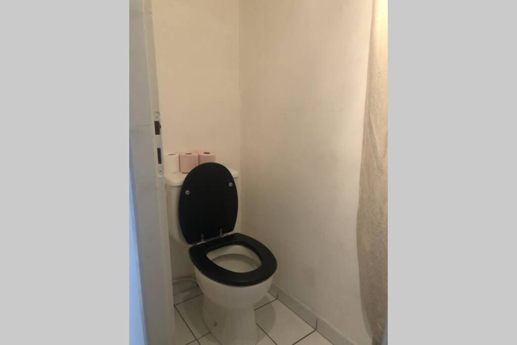 Joli Duplex 65m Chu Bordeaux Parking Prive